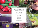 July 2017 Allotment Update