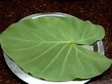 Patra ( Spicy steamed  Taro leaf rolls or spirals)