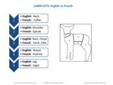 Cuts of Lamb in English & French