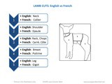 Lamb Cuts (in French and Italian)