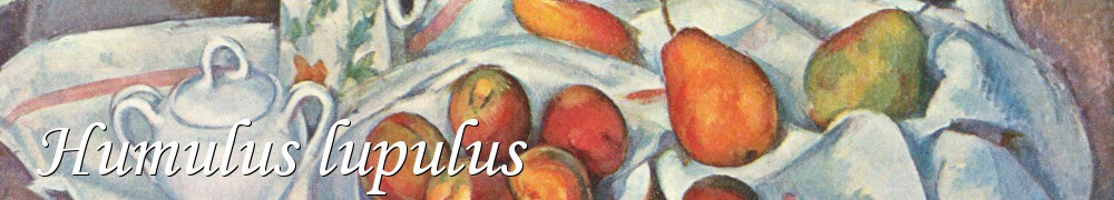 Very Good Recipes - Humulus lupulus