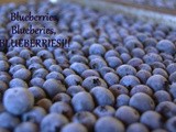 Freezing Blueberries