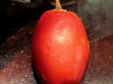 Tamarillo – Tart Tree Tomatoes