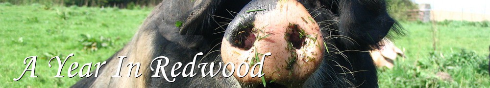 Very Good Recipes - A Year In Redwood