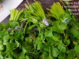 How to Store Coriander/Cilantro Leaves for 2-3 weeks / What do you do with Coriander Stems