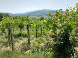 In Abruzzo con gusto - blog tour