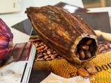 Cacao in polvere: un ingrediente molto utilizzato ma poco conosciuto