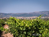 La strada dei vini di Cagliari e la cantina Dolianova