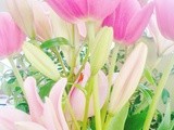 Flowers on Pinterest