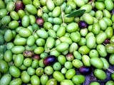 Picking, treating and preserving olives in brine, and olives marinated in olive oil and herbs