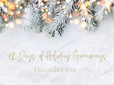 12 Days of Holiday Giveaways: Day 7