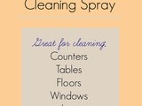 Homemade All-Natural, All-Purpose Cleaning Spray