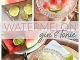 Watermelon Gin & Tonic