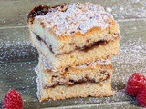Raspberry Crumb Bars