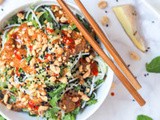 Asian Cucumber Noodle Salad with Ginger Almond Dressing {gf, Vegan}