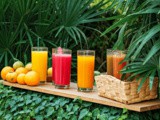 10 Healthy Fruit Juices for Summer Hydration