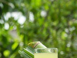Beat the Heat with Sugarcane Juice in Summer
