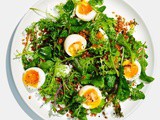 Mizuna Salad