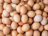 Egg Calories And Nutrition