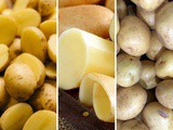 Yukon Gold vs Yellow Potatoes vs Gold Potatoes