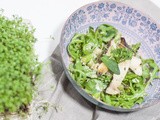 Spargel-Quinoa-Salat mit Kräuterseitlingen