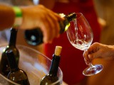 Vipavska vina pod drobnogledom