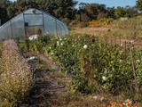 A Visit to Blue Hill at Stone Barns