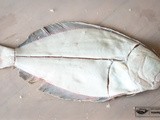 {Step-By-Step} How to Fillet Flat Fish