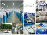 Report: Mijn ervaring met panga in Vietnam