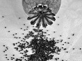 Scone alla ricotta con semi di papavero