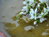 Zuppa di zucchine e cipolle rosse arrosto / roasted zucchini red onion soup