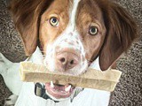 Dairy-Free Yak Chew