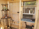 Thursday’s Thoughts: Building a Catio