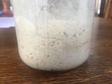 What happened to your sourdough starter in 2020
