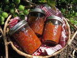 Canning Chili Sauce