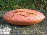 No-knead Spelt Cocoa Bread