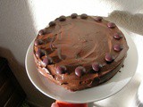 Sour Cream and Chocolate Cake