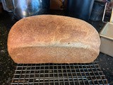 100% Whole-Wheat Honey Bread