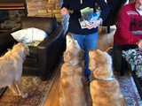 Paw-of-Approval Dog Biscuits as featured in kansas! Magazine, 2025, vol 81, issue 5