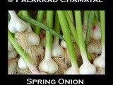 Soya Manchurian Wtih Spring Onion (Version - ii)