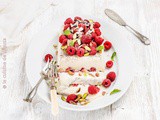 Semifreddo Maison Pistache et framboise