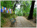 Journey to the mystical land of Sikkim - Part 4