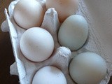 Homemade salted eggs: Something out of nothing