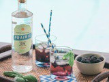 Blackberry-Ginger Gin Cocktail: Easy Summer Drink