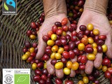 Organic coffee – why you should be drinking it
