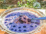 Blueberry Oats