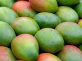 10 Benefits of Mango and 2 Side Effects (+Nutrition Facts)