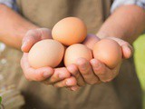 5 Health Benefits of Eggs + 5 Tips and Recipes