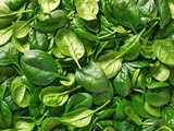 8 Benefits of Spinach & 5 Tips for Preparation