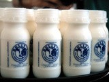 A Flourishing Social Enterprise: Real Fresh Dairy Farms Celebrates Eight Flavorful Years